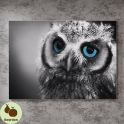 northern pygmy owl canvas wall art painting, black and white canvas wall art, owl painting posters on canvas, modern wal