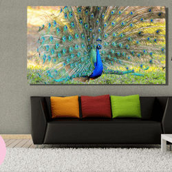 wonderful blue green peacock canvas wall art, animal nature print, peacock poster,home & office decoration poster or can