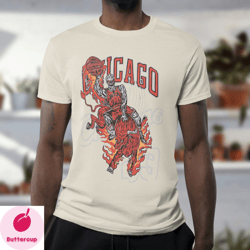 chicago city basketball bulls michael jordan mj goat air jordan  warren vintage lotas designs inspired shirts  hellstar