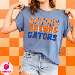 florida gators shirt  university of florida shirt tshirt gainesville fl tee football baseball sports sec gift