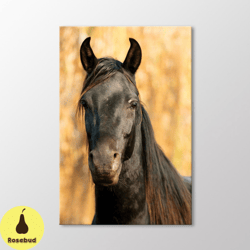 black horse canvas wall art, animal poster print, farmhouse wall decoration, horse photography, canvas ready to hang