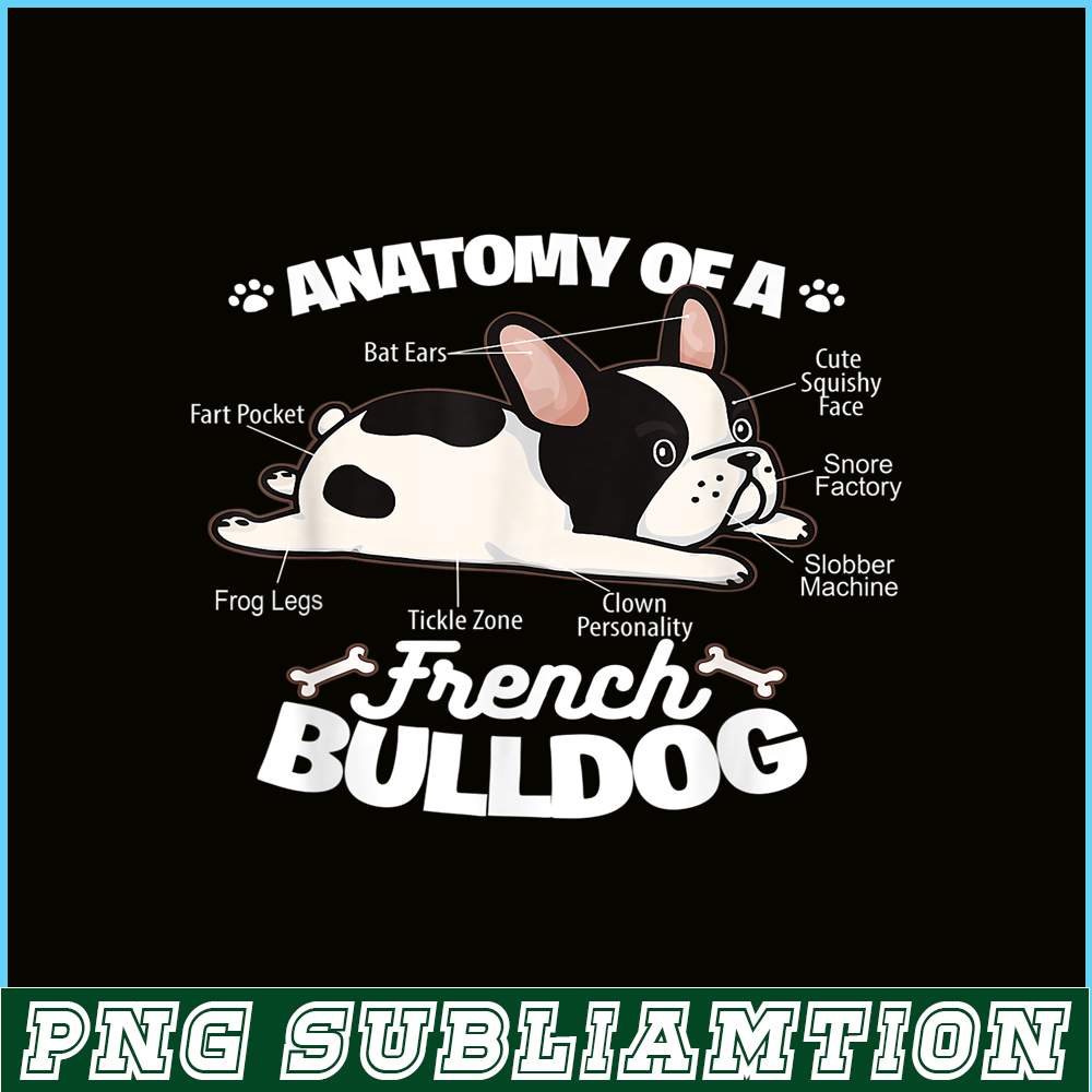 HL16102360-Anatomy Of A French Bulldog PNG, French Bulldog Graphic PNG, Bulldog Mascot PNG.png