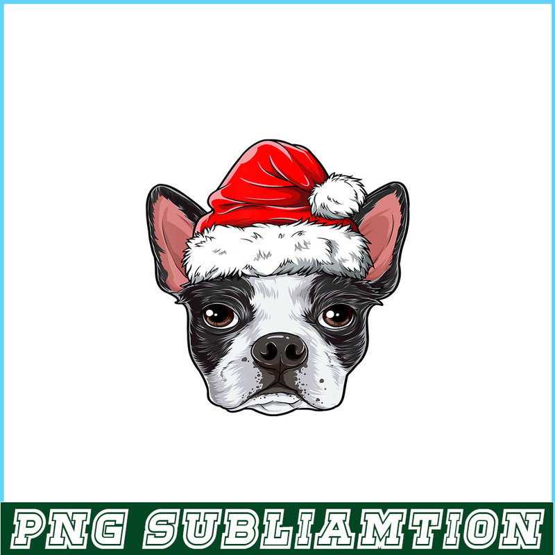 PNG141023104-Boston Terrier Christmas Dog Santa Hat Xmas Boys Kids Girls T-Shirt Png.png