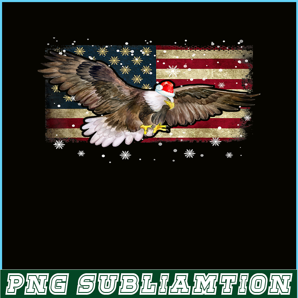 PNG14102383-Bald Eagle Christmas Color Lights Xmas Santa Hat Eagle Gifts T-Shirt Png.png