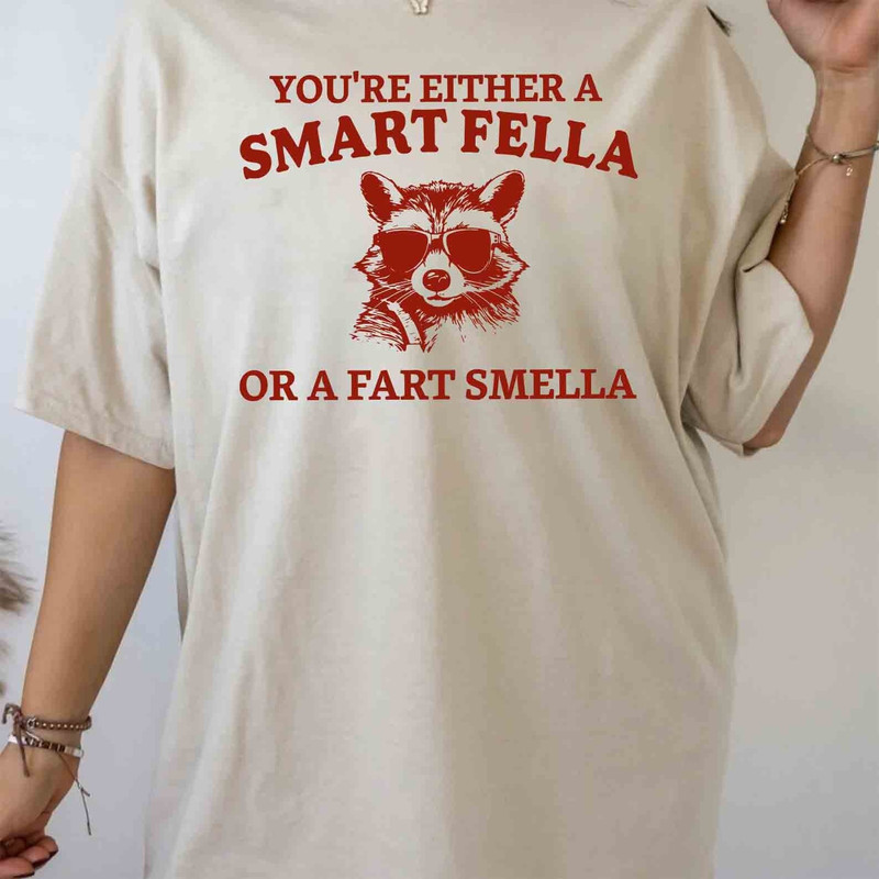 Are You A Smart Fella Or Fart Smella Retro Funny Cartoon T Shirt, Meme T Shirt, Trash Panda T Shirt, Weird T Shirt.jpg