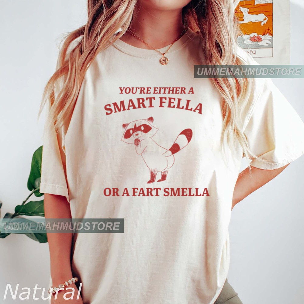 Are You A Smart Fella Or Fart Smella Retro Cartoon T Shirt, Weird T Shirt, Meme T Shirt, Trash Panda T Shirt, Unisex 1.jpg