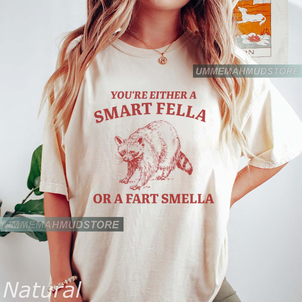 Are You A Smart Fella Or Fart Smella Retro Cartoon T Shirt, Weird T Shirt, Meme T Shirt, Trash Panda T Shirt, Unisex.jpg