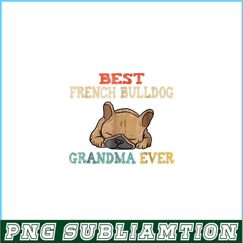 HL161023208-Vintage Best French Bulldog Grandma Funny PNG.png