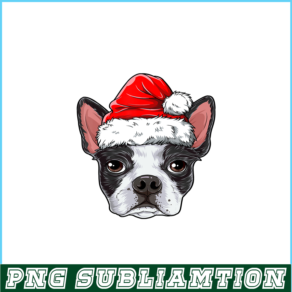 PNG141023104-Boston Terrier Christmas Dog Santa Hat Xmas Boys Kids Girls T-Shirt Png.png