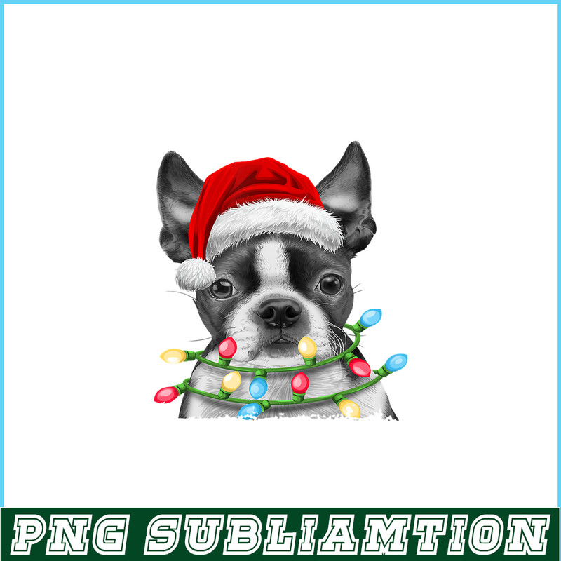 PNG141023106-Boston Terrier Santa Christmas Tree Lights Xmas Gifts Boys T-Shirt Png.png