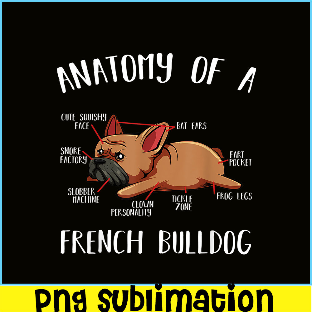 HL16102304-Anatomy Of A French Bulldog PNG Frenchie Dog PNG, Bulldog Mascot PNG.png