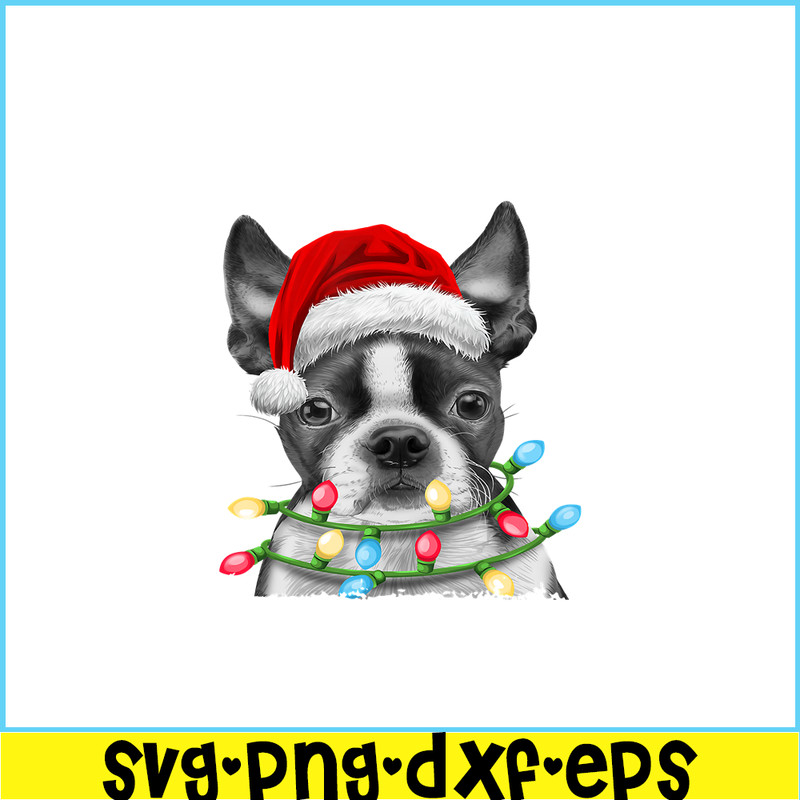 PNG141023106-Boston Terrier Santa Christmas Tree Lights Xmas Gifts Boys T-Shirt Png.png