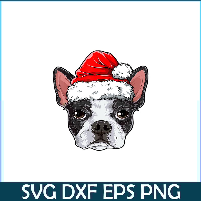 PNG141023104-Boston Terrier Christmas Dog Santa Hat Xmas Boys Kids Girls T-Shirt Png.png