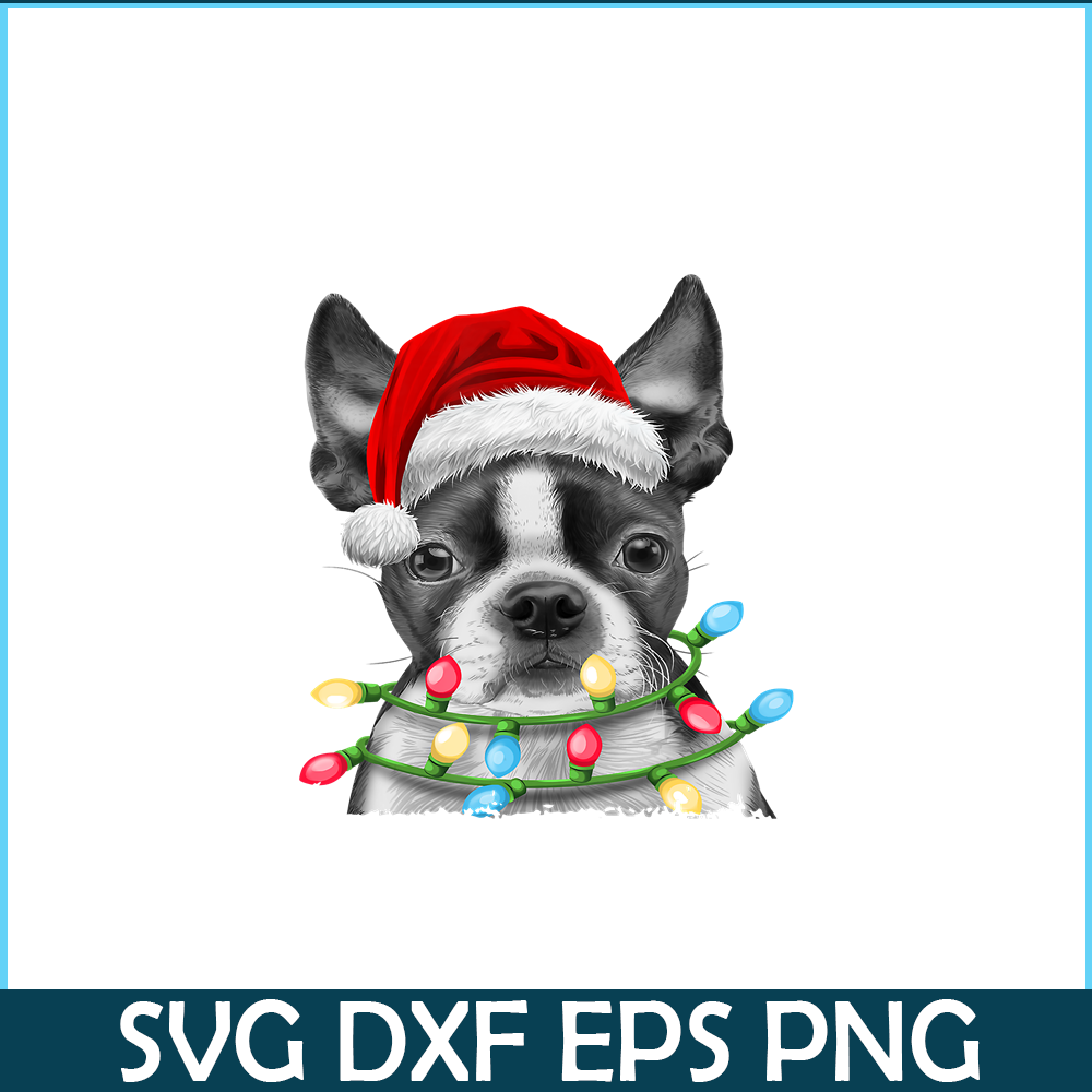 PNG141023106-Boston Terrier Santa Christmas Tree Lights Xmas Gifts Boys T-Shirt Png.png