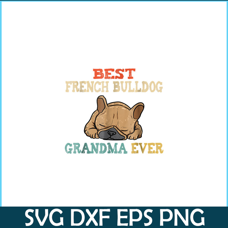 HL161023208-Vintage Best French Bulldog Grandma Funny PNG.png