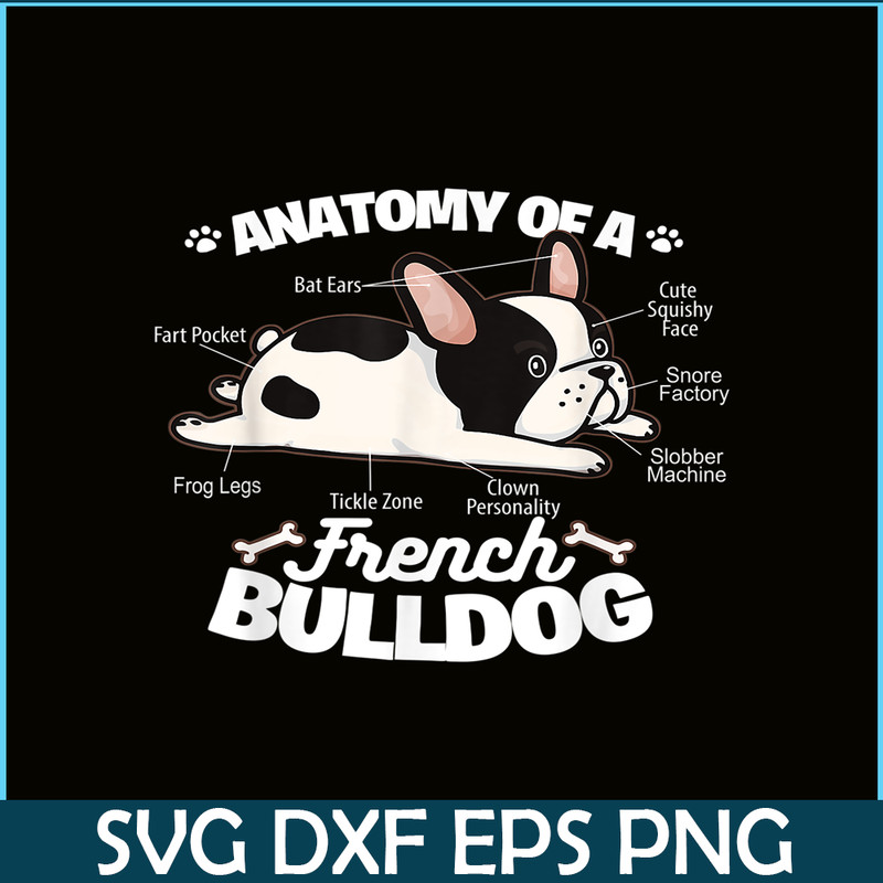 HL16102360-Anatomy Of A French Bulldog PNG, French Bulldog Graphic PNG, Bulldog Mascot PNG.png