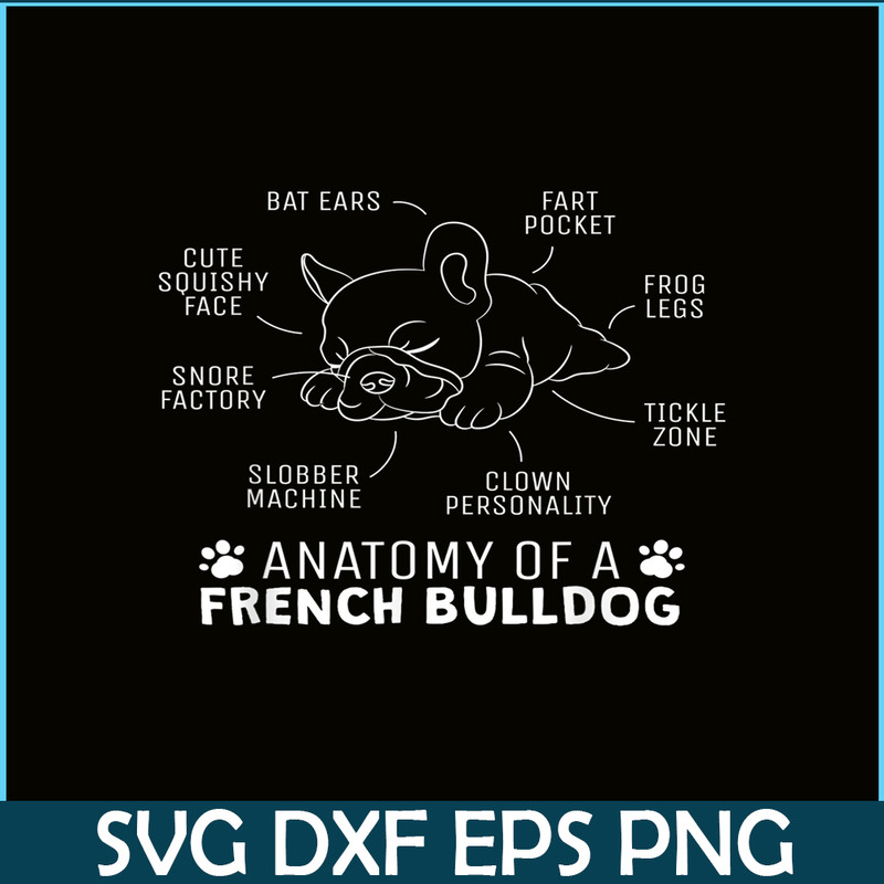 HL161023152-Anatomy Of A French Bulldog PNG, Frenchie Bulldog PNG, French Dog Artwork PNG.png