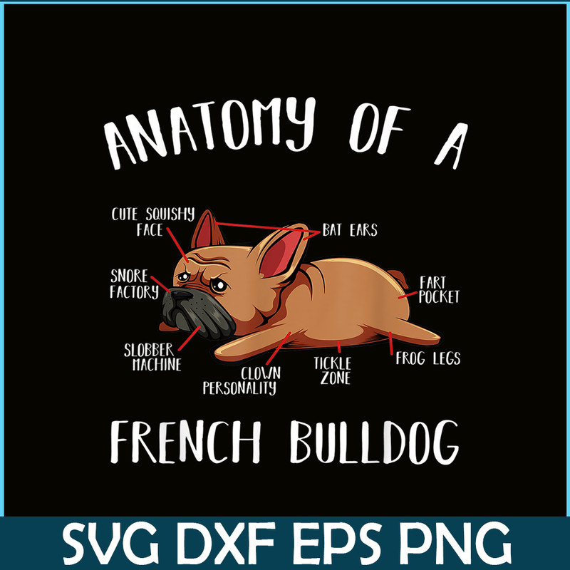 HL16102304-Anatomy Of A French Bulldog PNG Frenchie Dog PNG, Bulldog Mascot PNG.png
