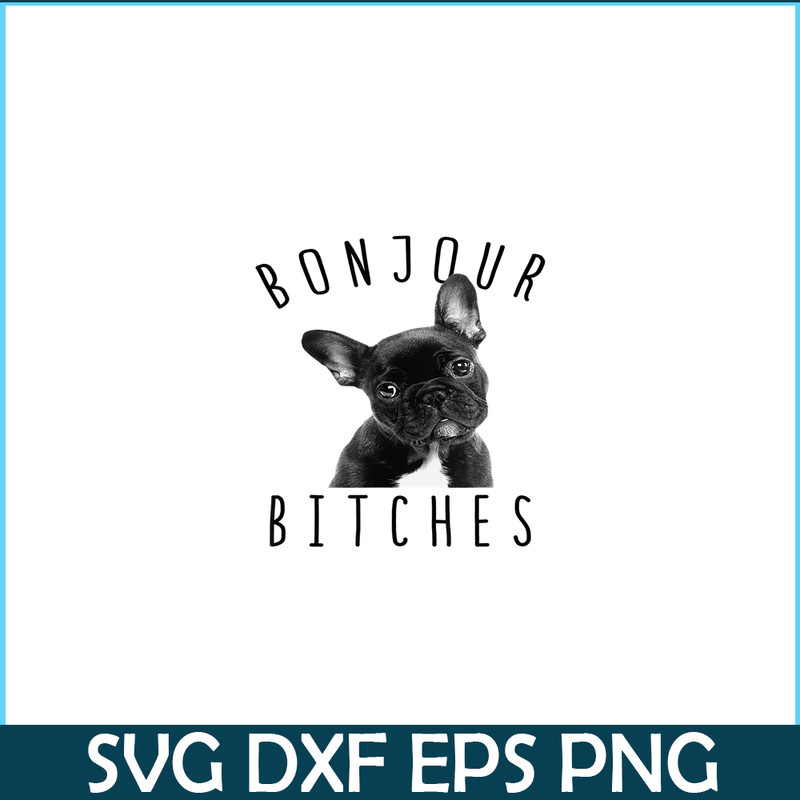 HL16102310-Bonjour Bitches PNG , Funny French Bulldog PNG, Dog Lover PNG.png