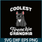 HL16102342-French Bulldog Coolest Grandma PNG, French Dog Artwork PNG, Bulldog Mascot PNG.png