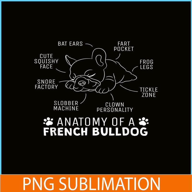 HL161023152-Anatomy Of A French Bulldog PNG, Frenchie Bulldog PNG, French Dog Artwork PNG.png