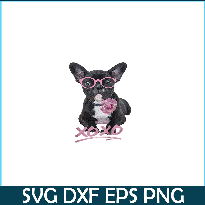 HL161023170-French Bulldog XOXO PNG, Frenchie Bulldog PNG, French Dog Artwork PNG.png