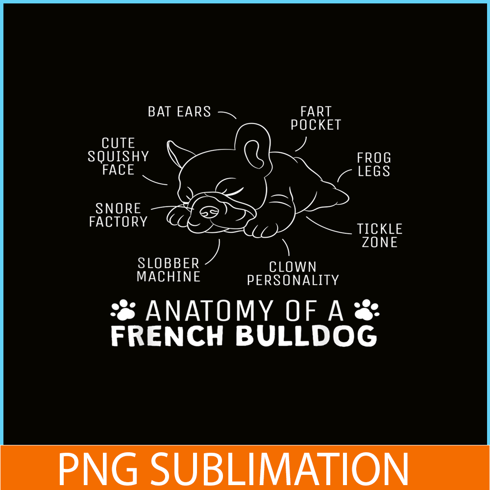 HL161023152-Anatomy Of A French Bulldog PNG, Frenchie Bulldog PNG, French Dog Artwork PNG.png