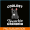 HL16102342-French Bulldog Coolest Grandma PNG, French Dog Artwork PNG, Bulldog Mascot PNG.png