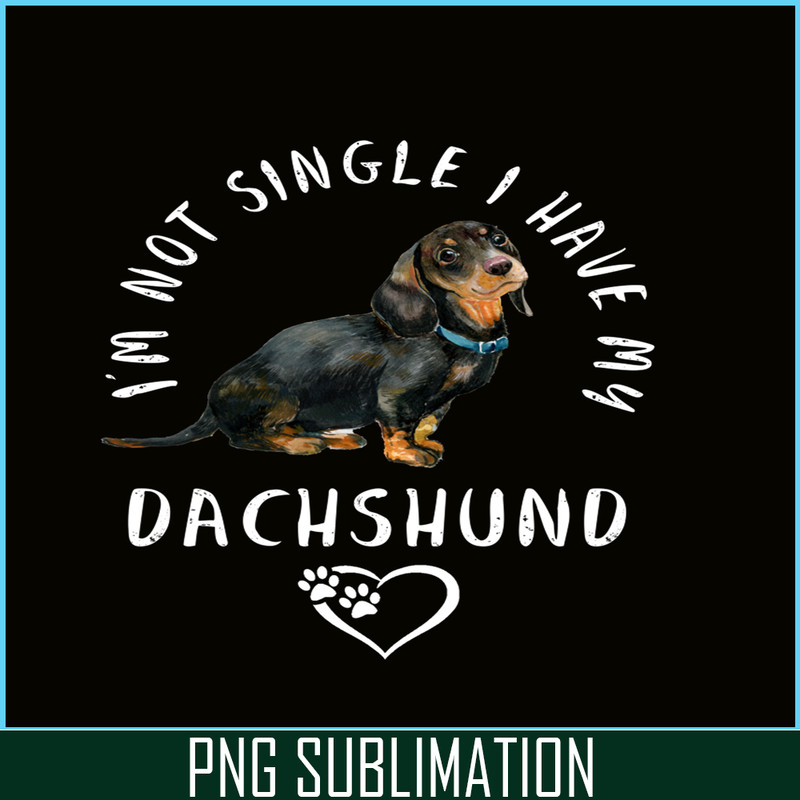 VLT21102303-Im Not Single I Have My Dachshund PNG, Funny Valentine PNG, Valentine Holidays PNG.png