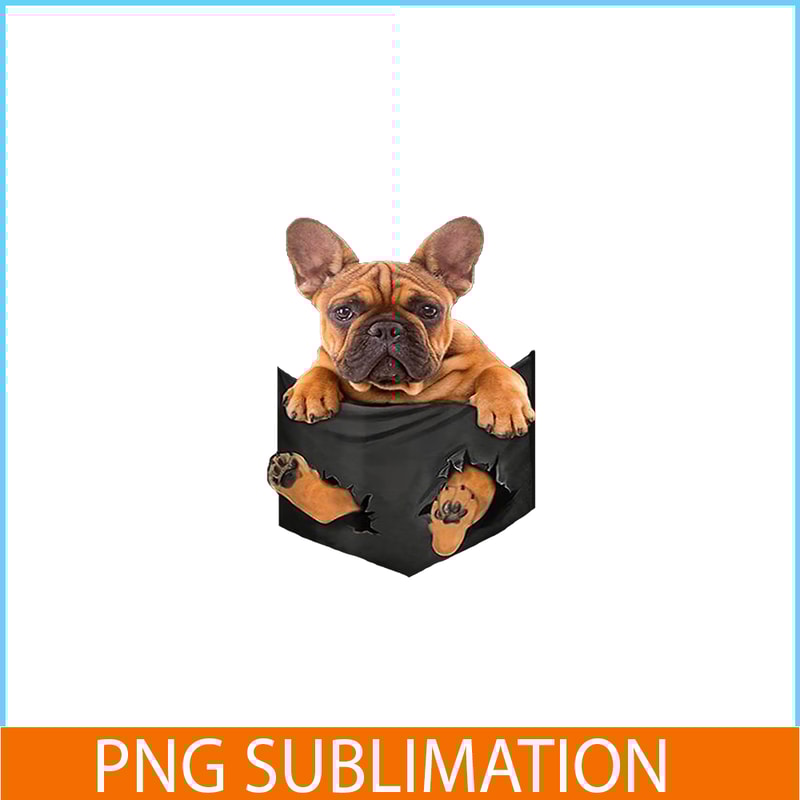 HL16102369-French Bulldog In a Pocket Mid PNG, Frenchie Dog Lover PNG, French Dog Artwork PNG.png