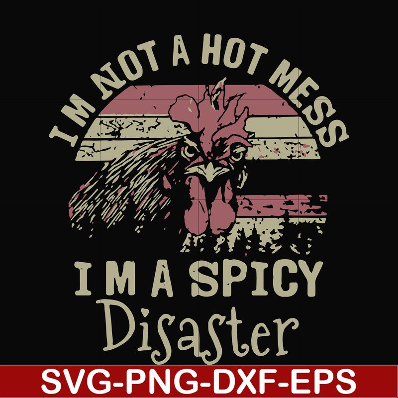 FN000129-I'm not a hot mess I'm a spicy disaster svg, png, dxf, eps file FN000129.jpg