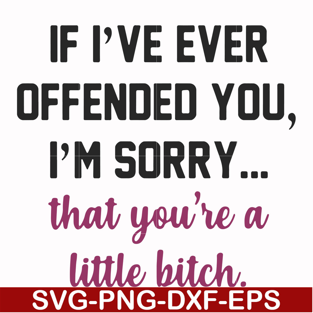FN000506-If I've ever offended you I'm sorry that you're a little bitch svg, png, dxf, eps file FN000506.jpg