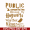 FN000252-Public administration because my Hogwarts letter never came svg, png, dxf, eps file FN000252.jpg