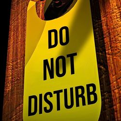 Do Not Disturb: An addictive psychological  by Freida McFadden