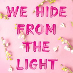 Things We Hide from the Light by Lucy Score