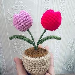 Crochet Mini Tulip Pot