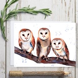 Common barn owl bird 8x11 inch original painting the white - faced owl painting art by Anne Gorywine
