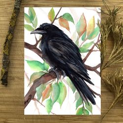 Raven watercolor, original birds art, bird painting crow, birds watercolor, home decor by Anne Gorywine art