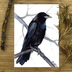 Raven original birds watercolor, bird painting bird crow watercolor ravens art by Anne Gorywine