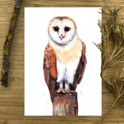 Common barn owl bird 8x11 inch original painting the white-faced owl painting art by Anne Gorywine