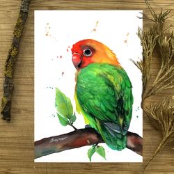 Bird watercolor, original birds painting art, bird painting parrots, parrots watercolor, home decor by Anne Gorywine
