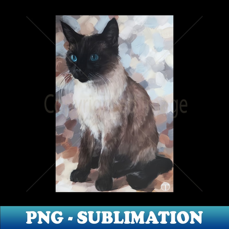 ZV-66397_SIAMESE CAT Siamese cat with blue eyes Kawaii Animals New Zealand Animals 2429.jpg