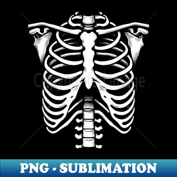 Human Skeleton Chest Ribs - PNG Transparent Sublimation Desi | Inspire ...