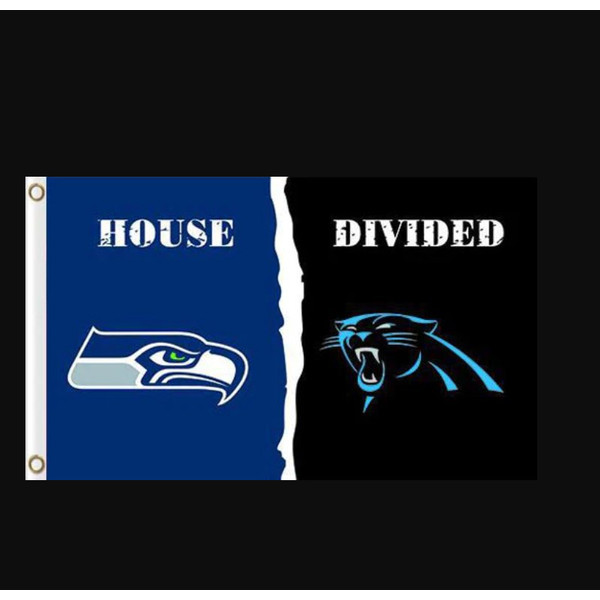 Seattle Seahawks and Carolina Panthers Divided Flag 3x5ft.png
