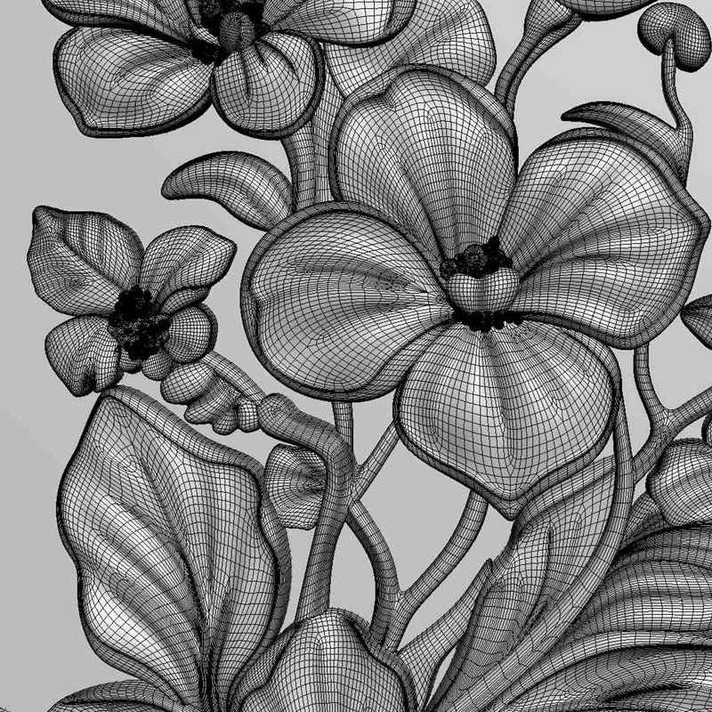 Orchids Flowers Relief 8