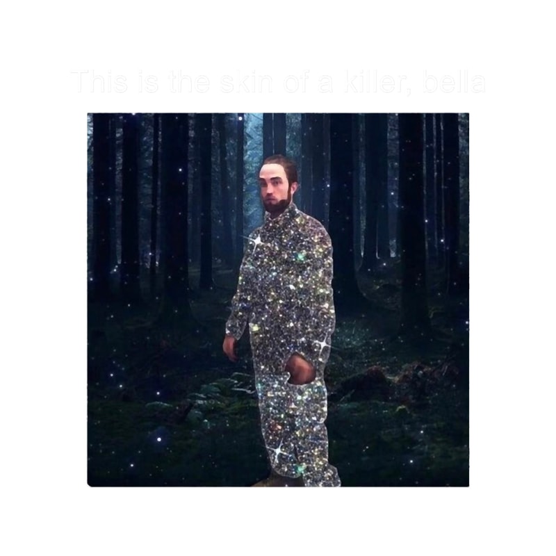 This is the skin of a killer, bella.png