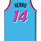 Tyler Herro basketball (2).png