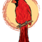 Artwork of a Nothern Cardinal II.png