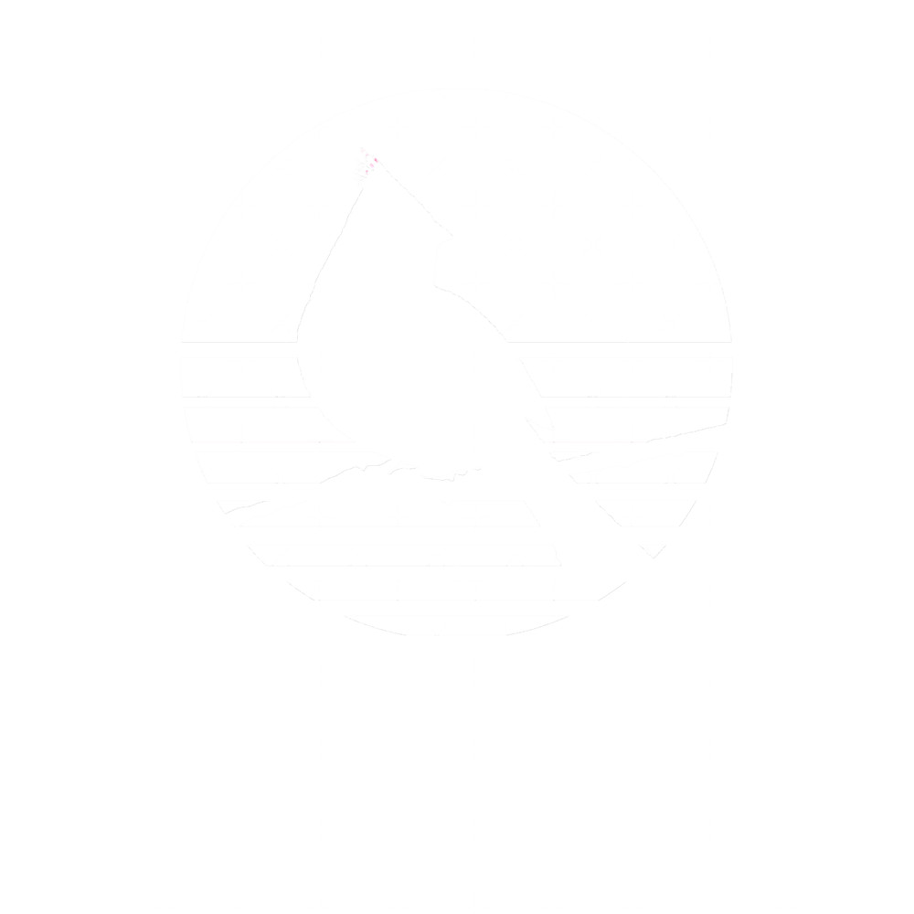 Bright Red Cardinal Bird Silhouette.png