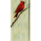 Cardinal (5).png